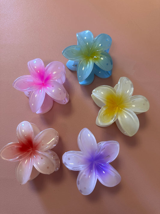 Flower Hair Clips - 5 colours